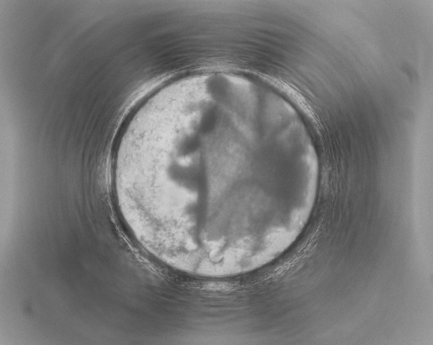 X0000115310839200912141135