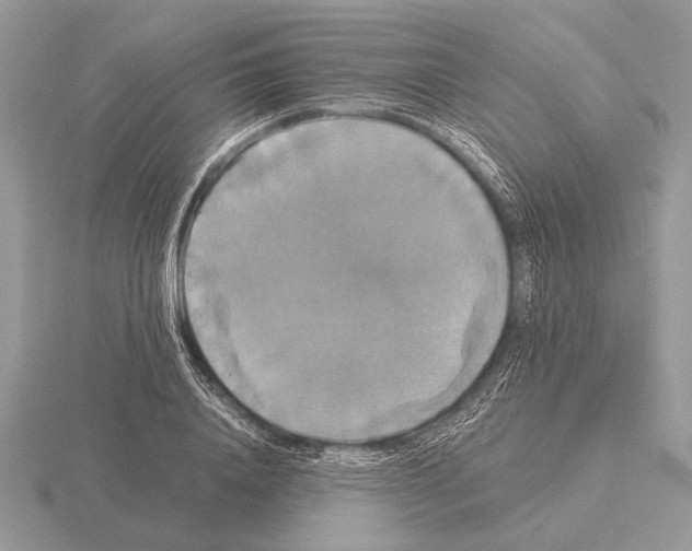 X0000115310840200912141135