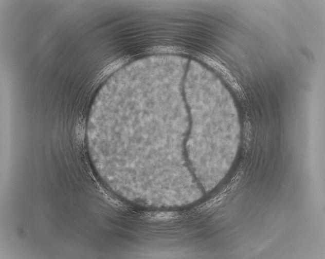 X0000115310841200912141135