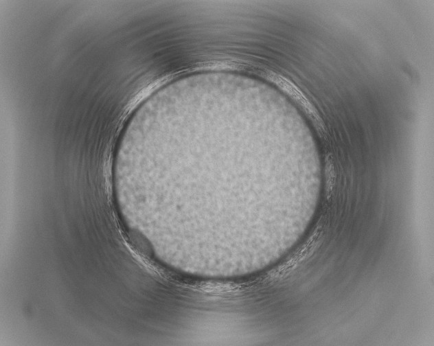 X0000115310842200912141135