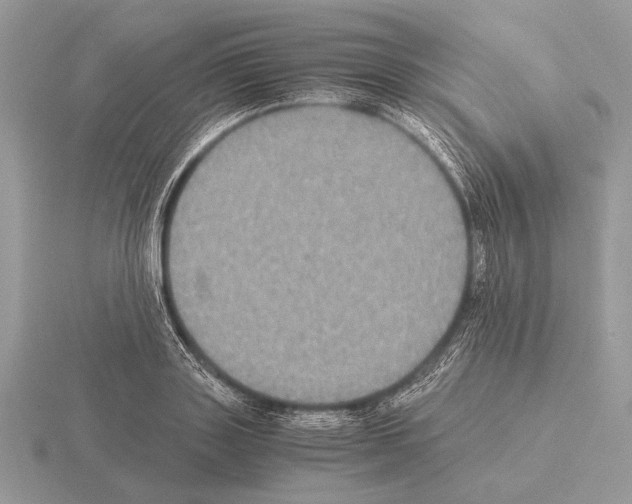 X0000115310843200912141135