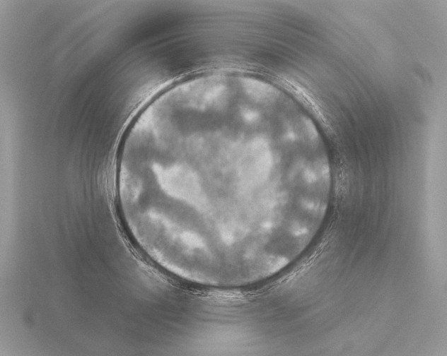 X0000115310844200912141135