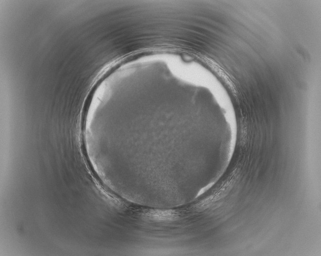 X0000115310845200912141135