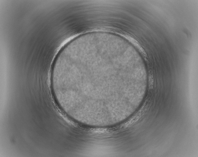 X0000115310846200912141135