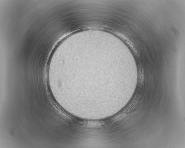 X0000115310848200912141135