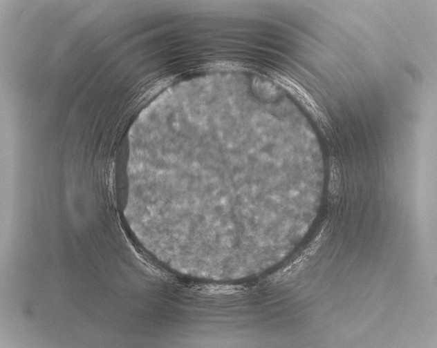 X0000115310849200912141135