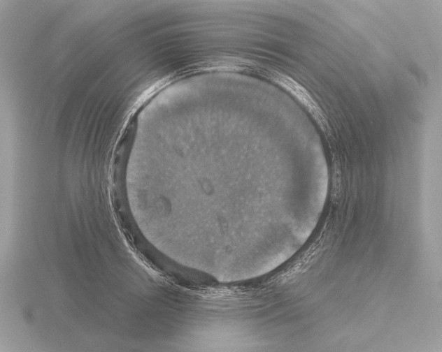 X0000115310850200912141135