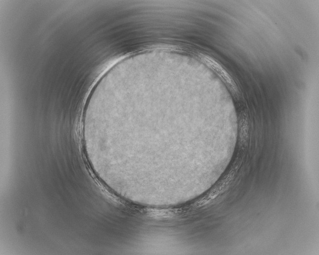 X0000115310852200912141135