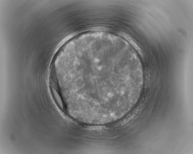 X0000115310853200912141135