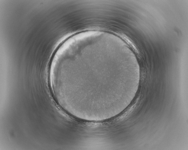 X0000115310854200912141135