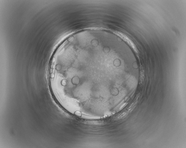 X0000115310855200912141135