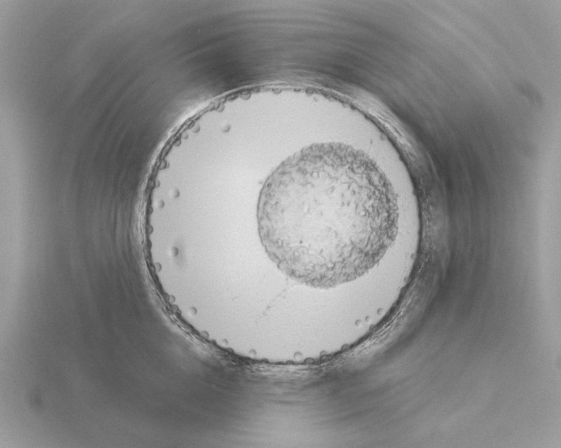 X0000115310856200912141135