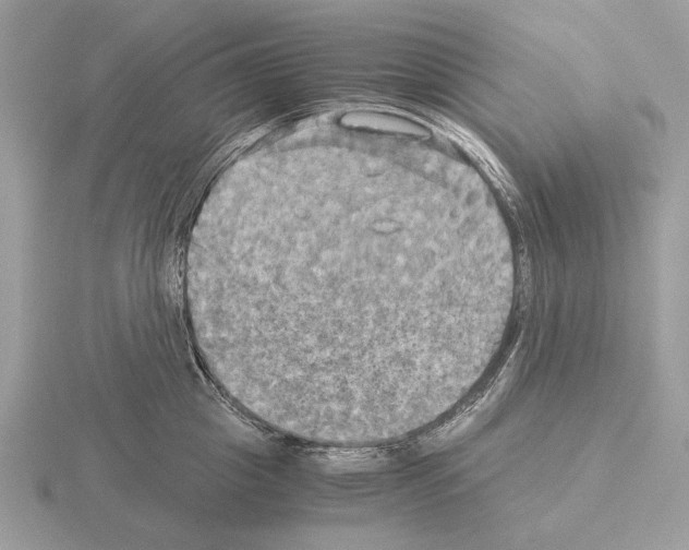 X0000115310857200912141135