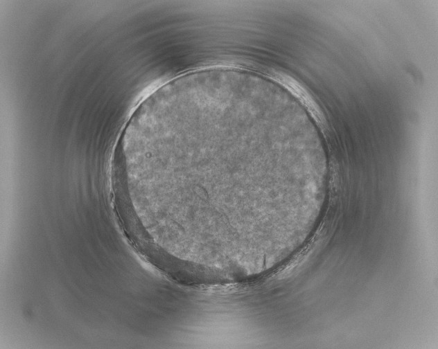 X0000115310858200912141135