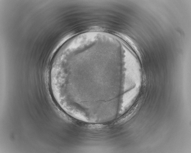 X0000115310859200912141135