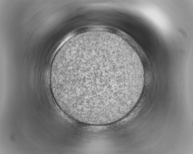 X0000115310860200912141135