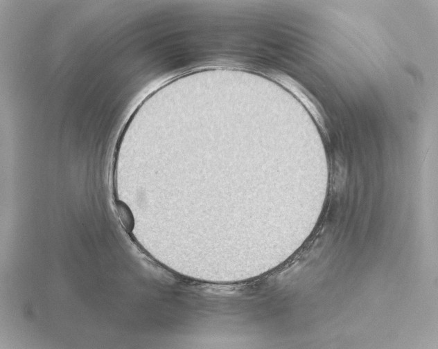 X0000115310861200912141135