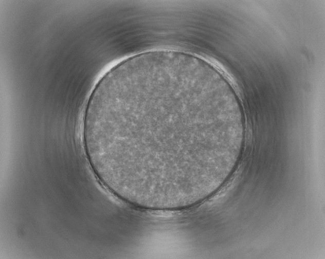 X0000115310862200912141135