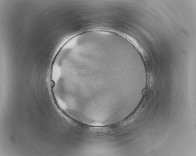 X0000115310863200912141135