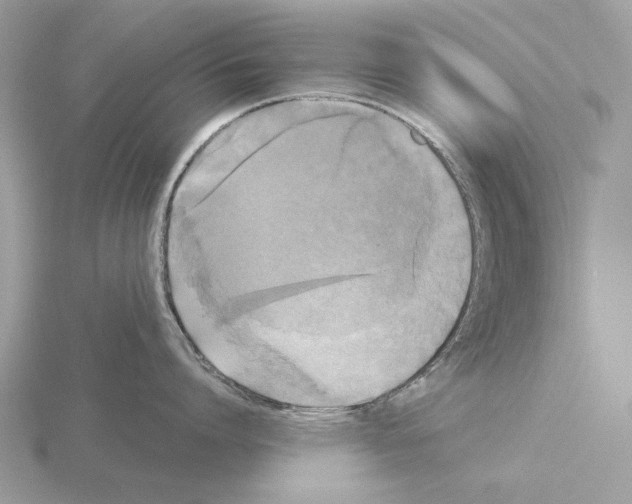 X0000115310864200912141135