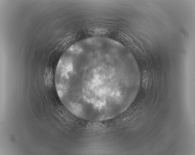 X0000115310866200912141135