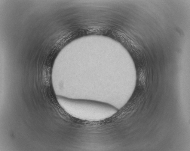 X0000115310868200912141135