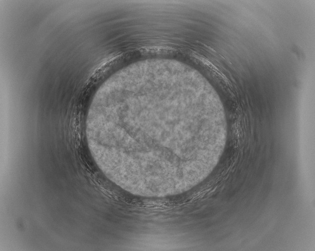 X0000115310870200912141135