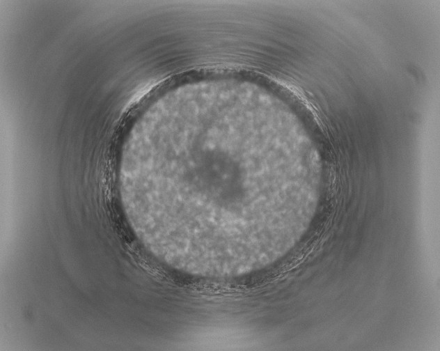 X0000115310871200912141135