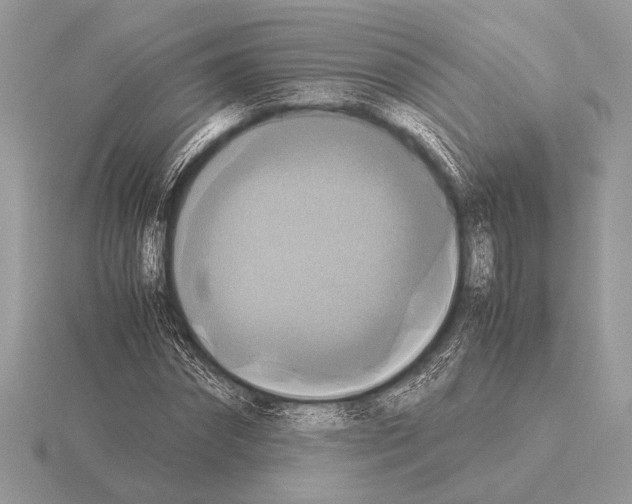 X0000115310874200912141135