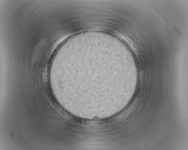 X0000115310875200912141135