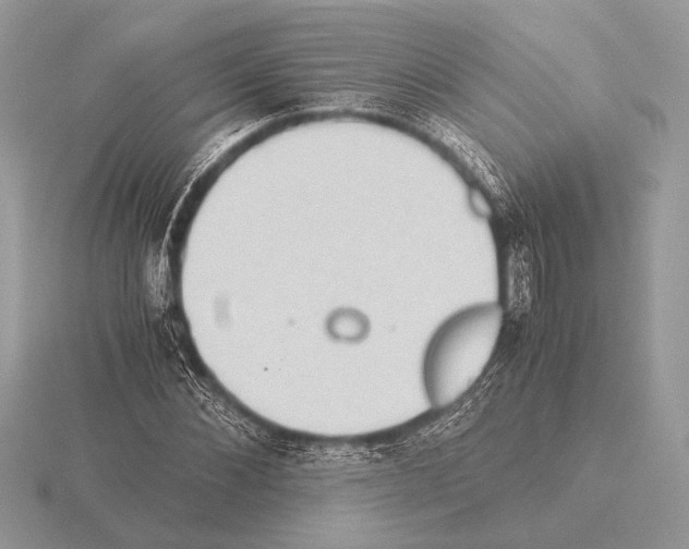 X0000115310876200912141135