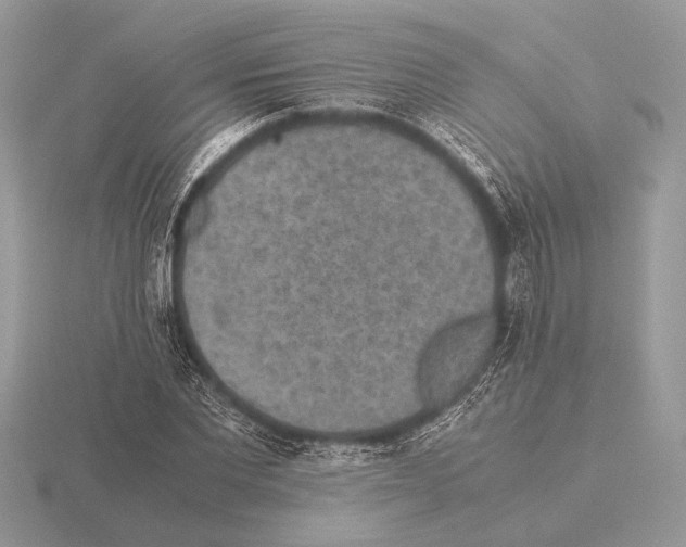 X0000115310877200912141135