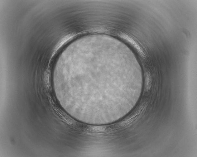 X0000115310878200912141135