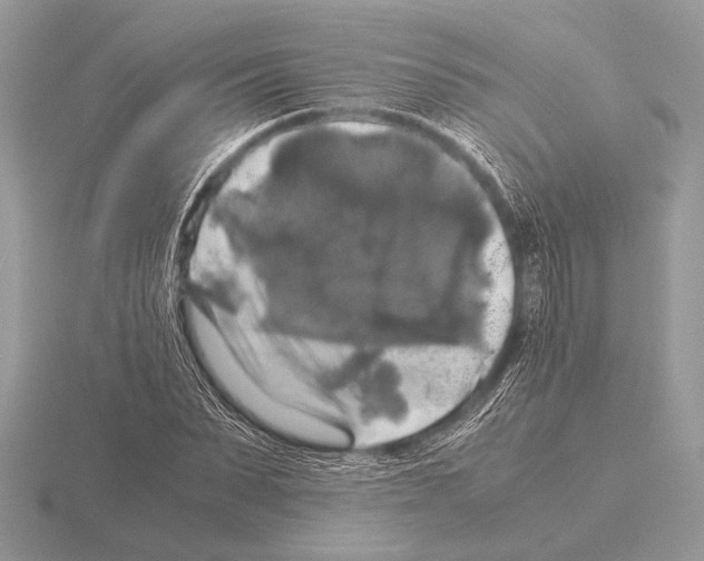 X0000115310879200912141135