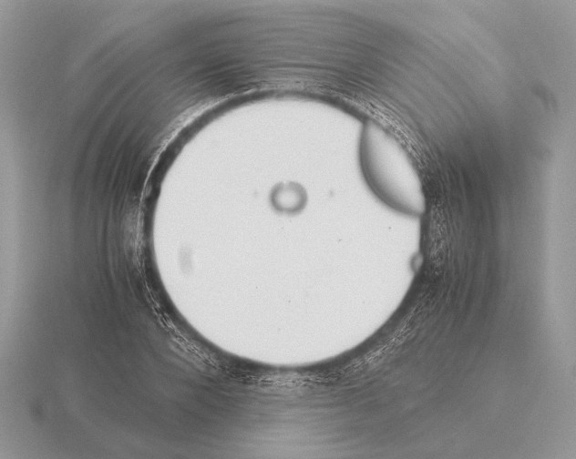 X0000115310880200912141135