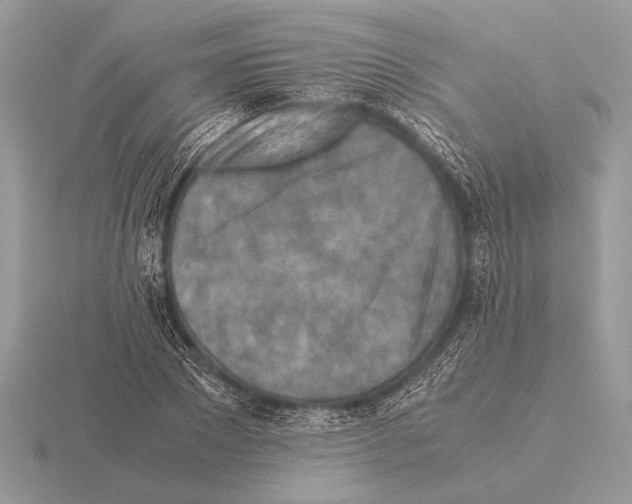 X0000115310881200912141135