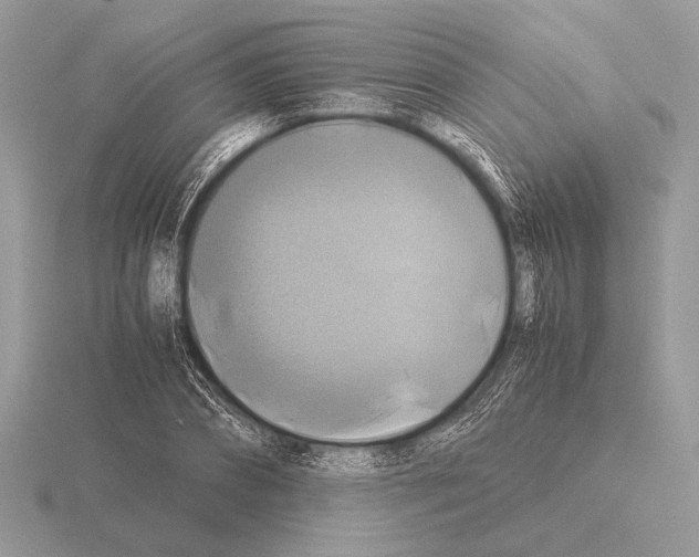 X0000115310882200912141135