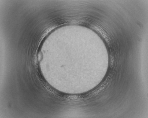 X0000115310883200912141135