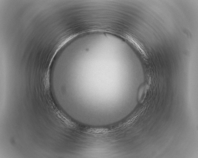 X0000115310884200912141135