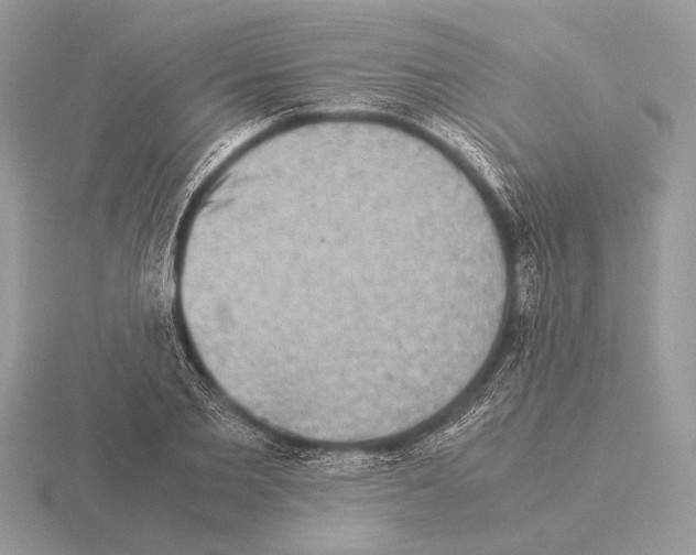 X0000115310885200912141135