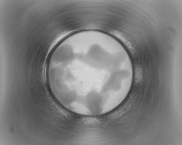 X0000115310886200912141135