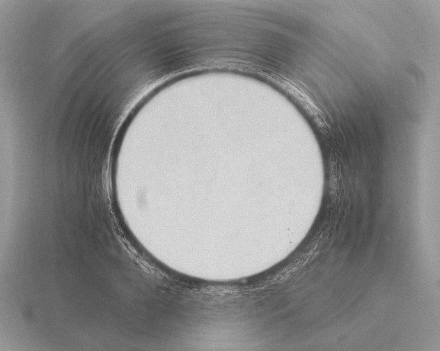 X0000115310888200912141135