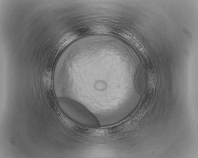 X0000115310889200912141135