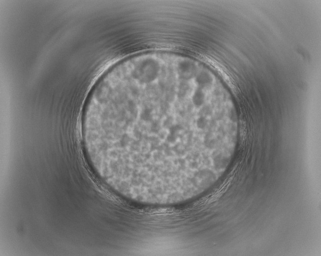 X0000115310891200912141135