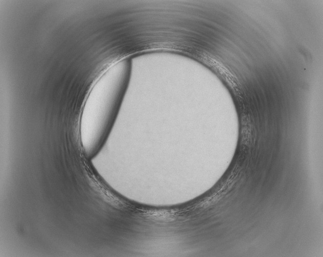 X0000115310892200912141135