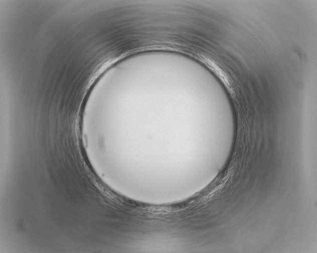 X0000115310893200912141135