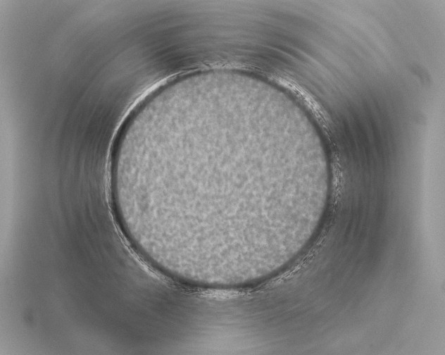 X0000115310894200912141134