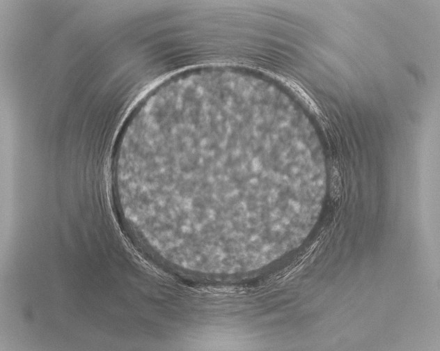 X0000115310895200912141134