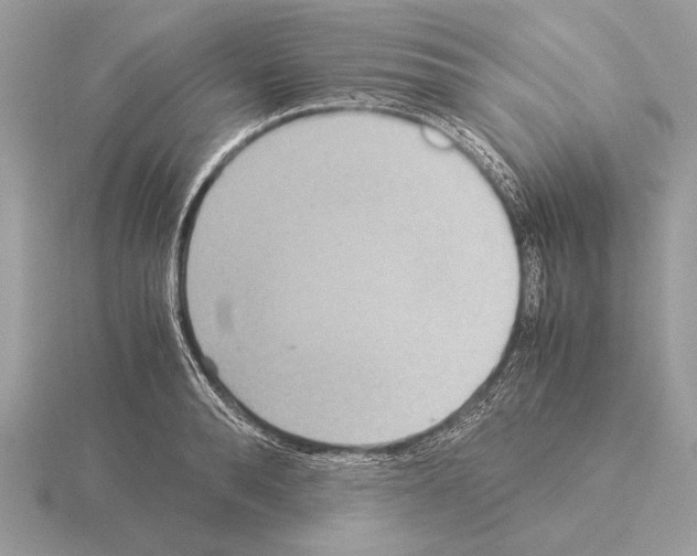 X0000115310896200912141134