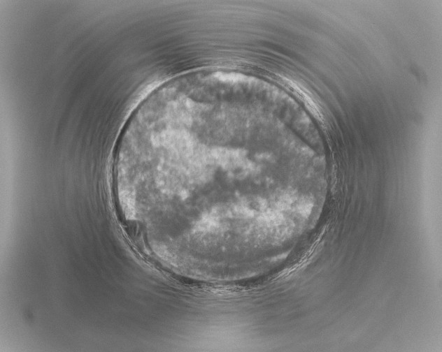 X0000115310899200912141134